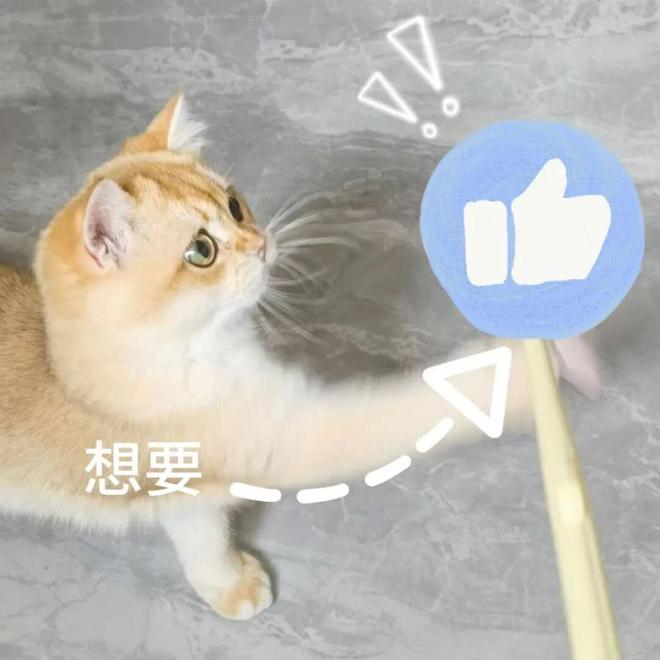 ！武汉可以露营野餐的好去处推荐！pg电子免费试玩模拟器全部免费(图4)