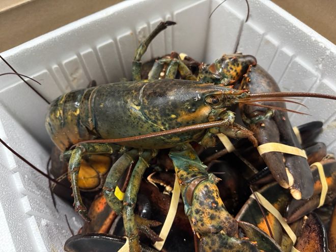 海吗？天津的海有什么？pg模拟器电脑版天津有(图4)