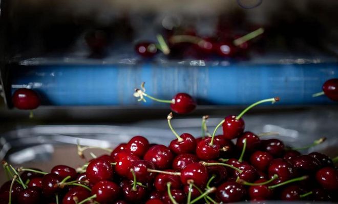 海吗？天津的海有什么？pg模拟器电脑版天津有(图3)